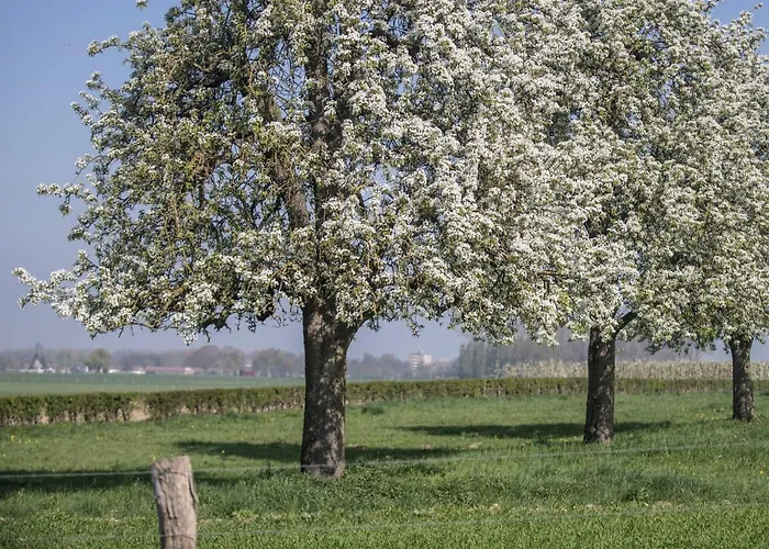 別荘 Bungalowpark Landsrade-1 By Interhome